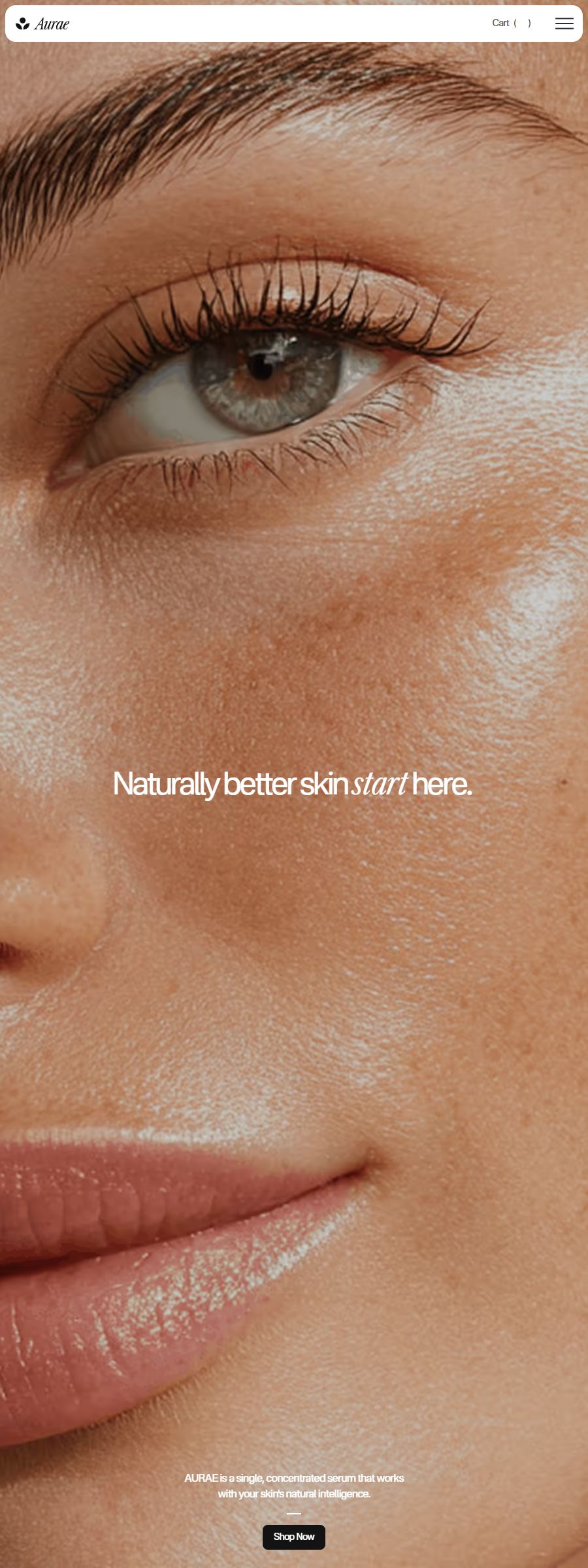 Aurae template, full page